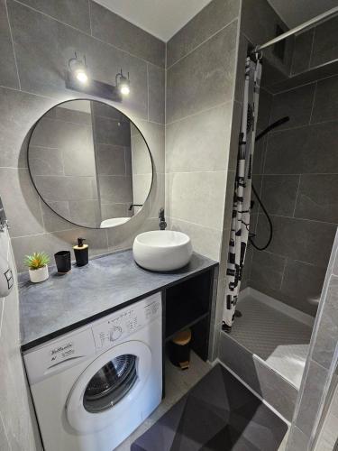 une salle de bain avec une machine à laver et un lavabo dans l'établissement Location Frontignan Plage, à Frontignan