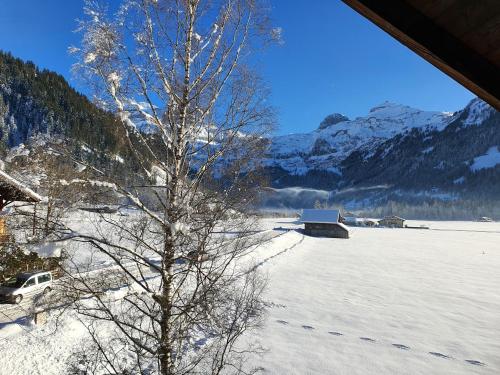 a snow covered field with a tree and a building at Burgbühler Guesthouse in Lenk