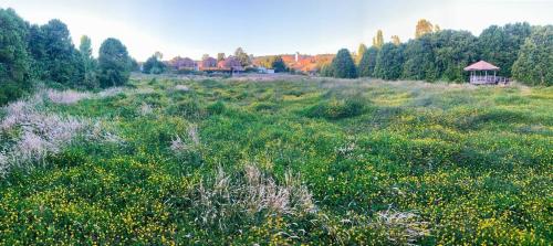 a field of green grass with a gazebo in the background at Chiloe Domos in Huenao