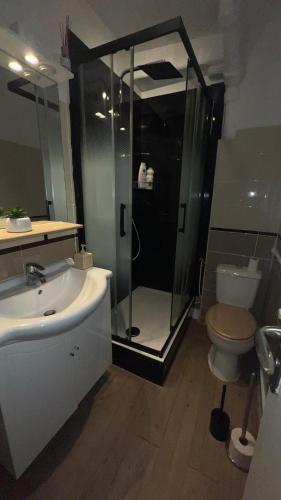 une salle de bain avec une douche, un lavabo et des toilettes dans l'établissement 2 Studio cozy à 30minutes de Paris centre, à Houilles