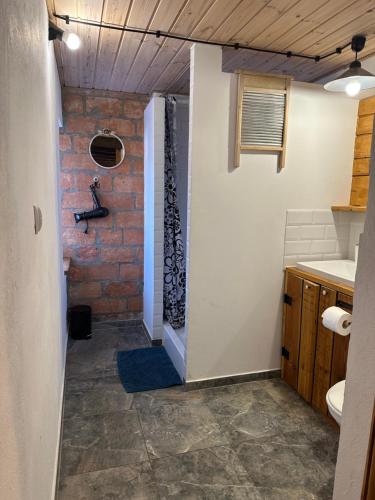 a hallway of a bathroom with a brick wall at Agroturystyka Zacisze in Maciejowiec