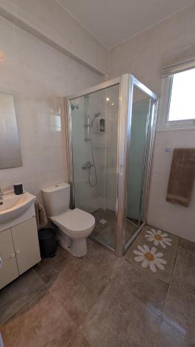 a bathroom with a shower and a toilet and a sink at St Andrews Apartment in Xylophaghou