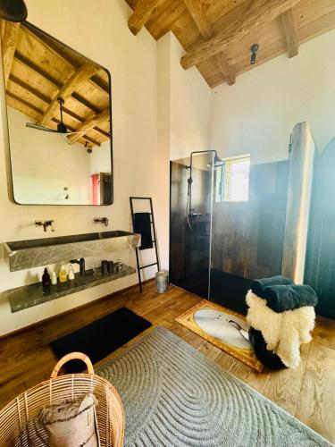 une salle de bain avec une douche, un lavabo et un miroir dans l'établissement Terradigaya, à Pietrosella