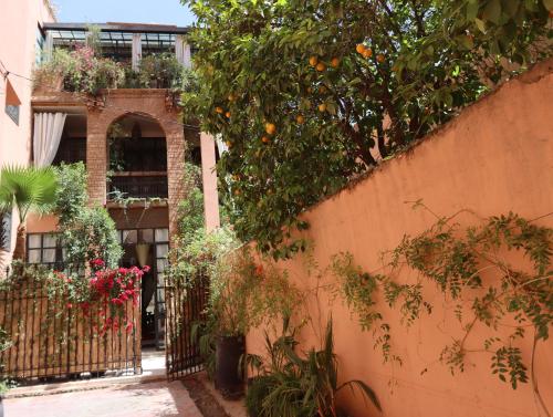 Zahrada ubytování Riad Villa Elgada