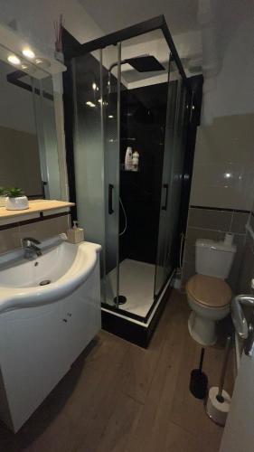 une salle de bain avec une douche, un lavabo et des toilettes dans l'établissement 1 Studio cozy a 30 minutes de Paris centre, à Houilles