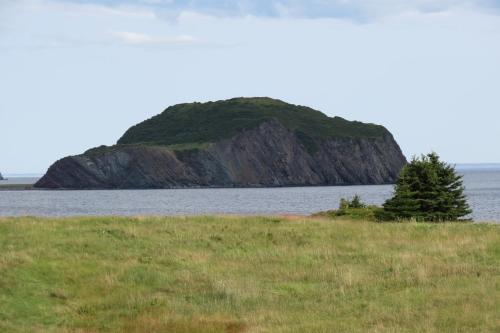 an island in the middle of a body of water at Devil's Cove in Port Rexton