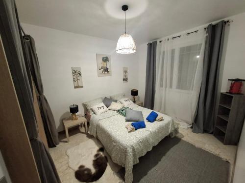 une chambre avec un lit et un chien allongé sur le sol dans l'établissement Havre de paix, à Marseille