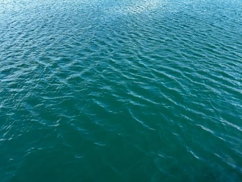 an overhead view of the water in a lake at Hotel Silver Lake in Santa Ana