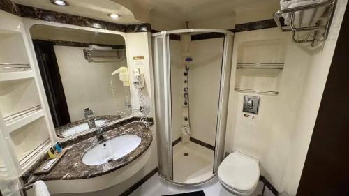 a bathroom with a sink and a shower and a toilet at الباخرة ريفر بوت in Cairo