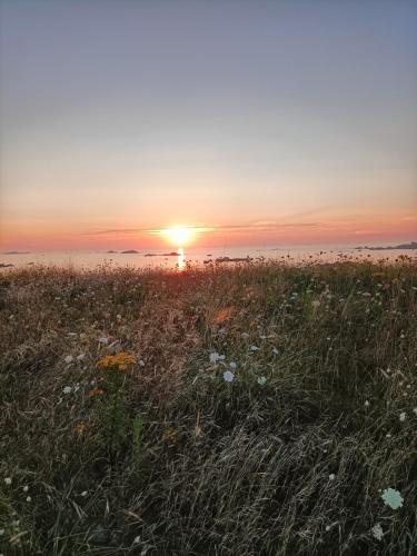 a field of grass with the sunset in the background at Oudoty in Kerlouan
