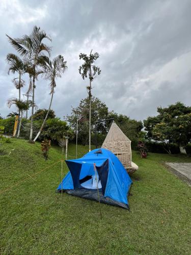 Gallery image of Ecohotel Guaduales Nature in Pereira