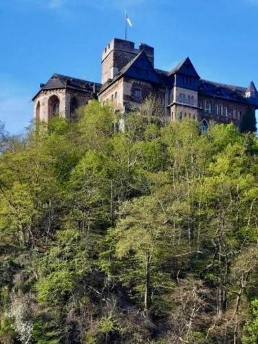 a castle on top of a hill with trees at Traumhaus an der Lahn- Dreamhouse at River Lahn in Lahnstein
