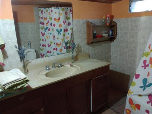 Un baño con lavabo y cortina de ducha. en Casaluma, en Jose De San Martin
