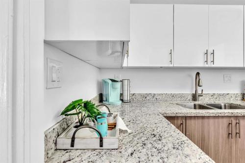 a kitchen counter with a potted plant on it at Dream Hollywood Beach Retreat With Jacuzzi and Fire Pit in Dania Beach