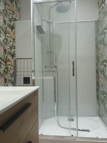 une douche avec une porte vitrée dans une salle de bain dans l'établissement Le 289 Audruicq, à Audruicq