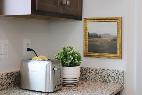a kitchen counter with a microwave and a plant at Mountain Whispers Harrisonburg JMU Shenandoah National Park in Harrisonburg