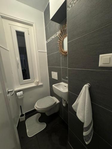 a small bathroom with a toilet and a sink at Séjour calme près du Léman in Mies