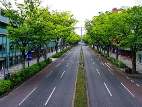 an empty street with trees on both sides at APA Hotel Shibuya Dogenzakaue in Tokyo