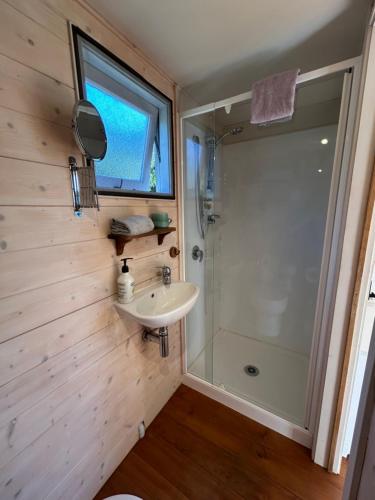 Koupelna v ubytování Gumdiggers Tiny House