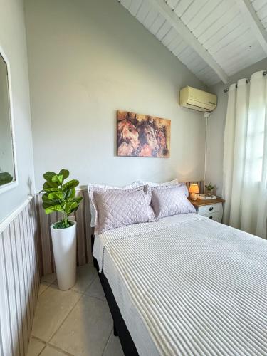 a bedroom with a bed and a potted plant at RJ Sitio Refugio da Serra fazendinha in Rancho Queimado