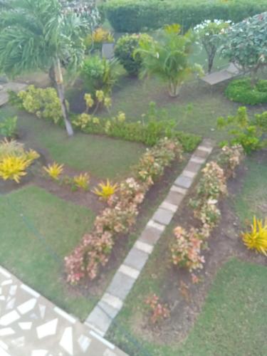 O grădină în afara Chennel#3