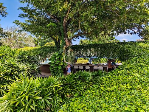 Jardín al aire libre en Dominiks nature and silent Jungle Studio Epic Ocean View Tambuli Mactan Pool Beach High Floor