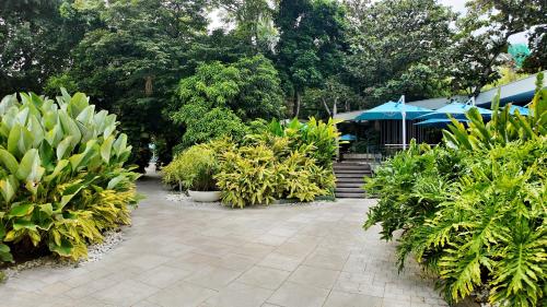 Jardín al aire libre en Dominiks nature and silent Jungle Studio Epic Ocean View Tambuli Mactan Pool Beach High Floor