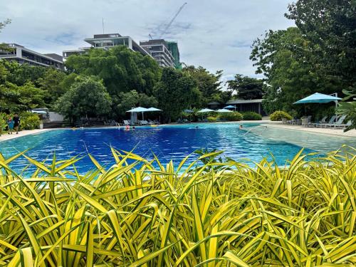 Piscina en o cerca de Dominiks nature and silent Jungle Studio Epic Ocean View Tambuli Mactan Pool Beach High Floor