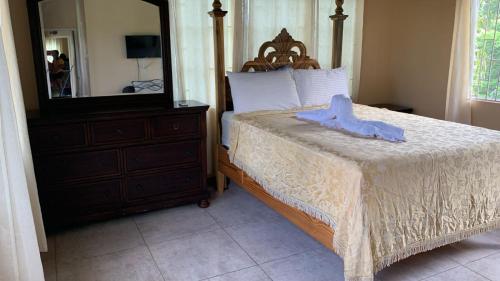 Gallery image of Chaudhry Second Floor Single Suite in Montego Bay