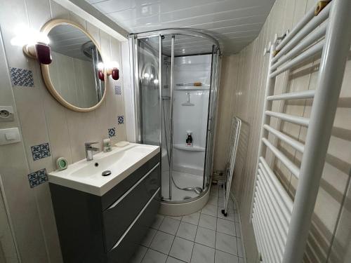 une salle de bain avec un lavabo et une douche dans l'établissement Charmant T2 avec WIFI et parking au centre de La Roche-Posay - FR-1-541-159, à La Roche-Posay