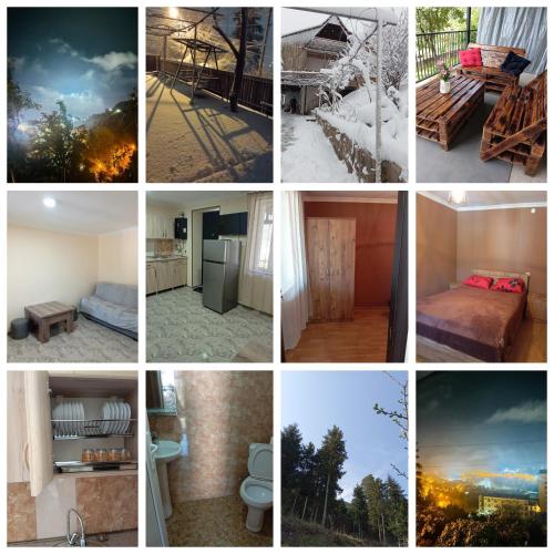 a collage of pictures of different rooms at Borjomi forest in Borjomi