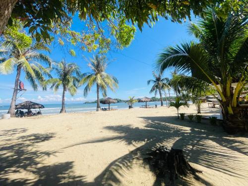 a beach with palm trees and the ocean at Bolo Hills Beach Club And Residence in Alaminos