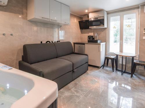 un salon avec un canapé et une cuisine dans l'établissement Le lovely - Spa & Jacuzzi, à Manosque