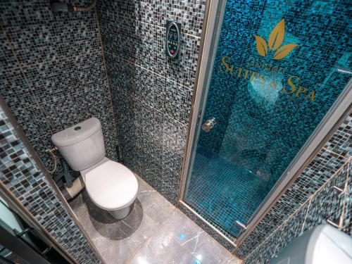 une salle de bain avec toilettes et douche dans l'établissement Le Topaze - Spa & Jacuzzi, à Manosque