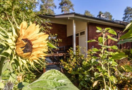 Un gran girasol delante de una casa. en Ketunpesä Puijolla, en Kuopio