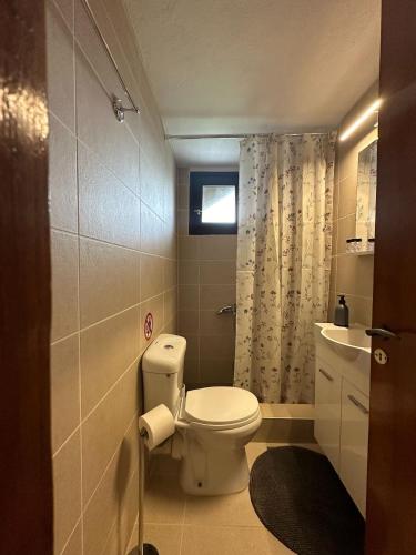a small bathroom with a toilet and a sink at Genari Beach Apartments -Family sea view apartment in Korakokhórion