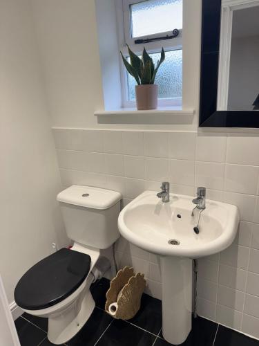 a bathroom with a toilet and a sink at Cosy Cloud in Congleton