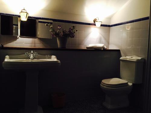 a bathroom with a sink and a toilet and a mirror at Batzarki in Avellaneda