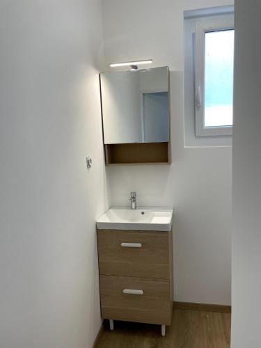 une salle de bain avec un lavabo et un miroir dans l'établissement Le Miramar La Vue, à Saint Cyprien Plage