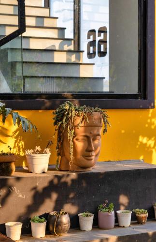 a statue of a head on a shelf with potted plants at Be Youth Villa Đà Lạt - O'TEL in Da Lat