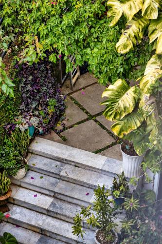 a wooden pathway in a garden with plants at Be Youth Villa Đà Lạt - O'TEL in Da Lat