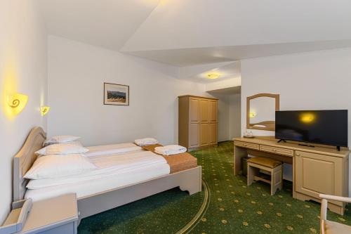 Μια τηλεόραση ή/και κέντρο ψυχαγωγίας στο Hotel Casa Viorel jacuzzi & saunas