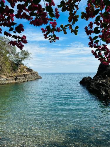 a view of a body of water with a tree at Sea View Cabin in Lobo in Batangas City