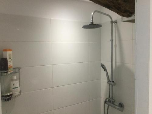 a bathroom with a shower with a shower head at Maison à Porticciolo, idéale pour un couple in Cagnano