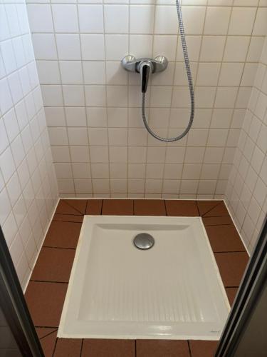 La salle de bains est pourvue d'une douche avec un lavabo. dans l'établissement Appartement typique 3 pièces - La Bresse, à La Bresse