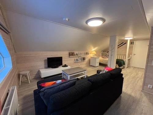 a living room with a couch and a tv at Villa Havu holiday home in Pyhä/Lapland in Pyhätunturi