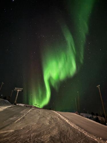an aurora in the sky over a snowy road at Villa Havu holiday home in Pyhä/Lapland in Pyhätunturi