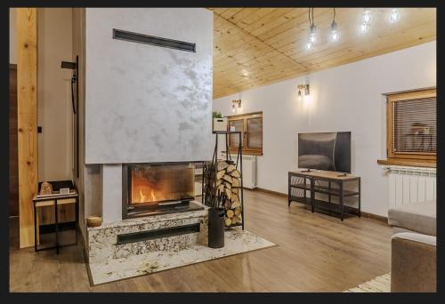 Mountain studio Govedartsi