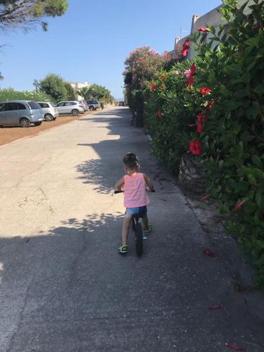 a little girl riding a bike down a street at Vista mare in Calasetta