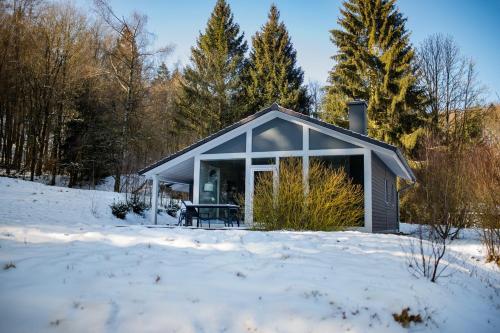 a cabin in the snow in the woods at 2 Personen mit Sauna F3H7 in Ruhla